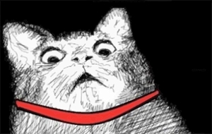 Cat Gasp Meme